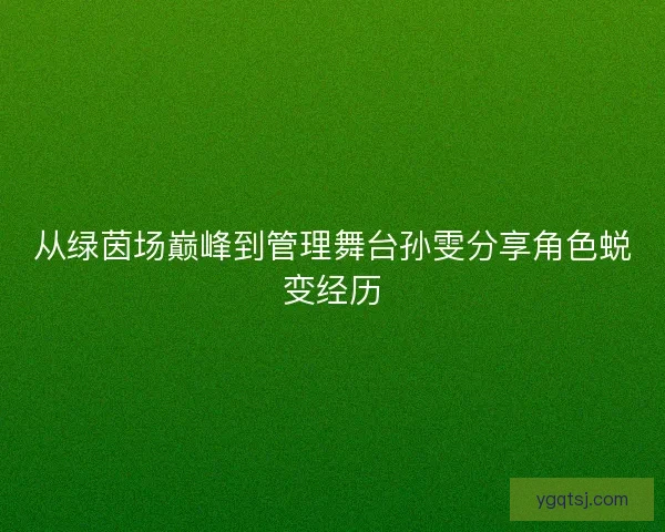 从绿茵场巅峰到管理舞台孙雯分享角色蜕变经历 从绿茵场巅峰到管理舞台孙雯分享角色蜕变经历